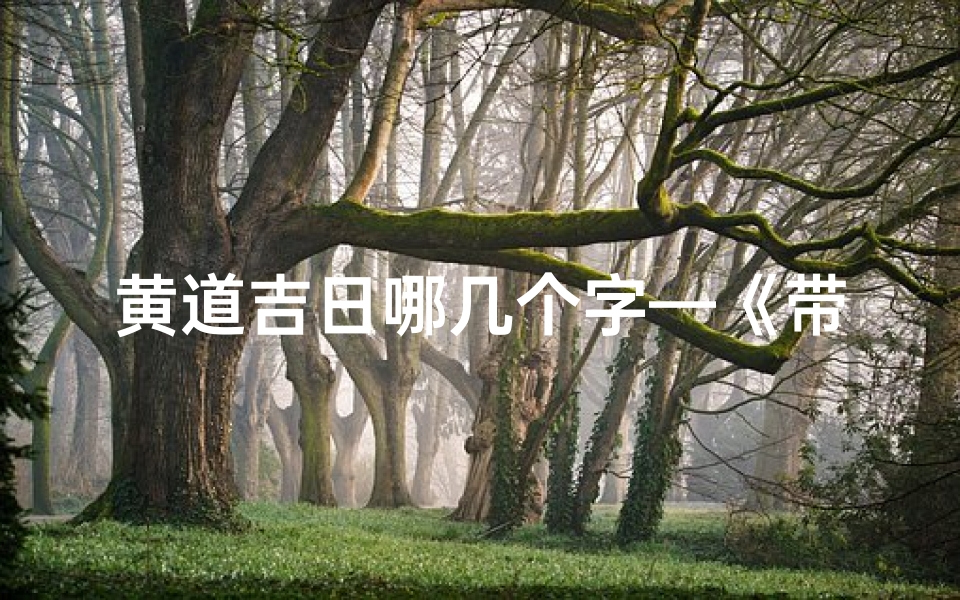 黄道吉日哪几个字—《带什么字是黄道吉日,揭秘最佳良辰吉日选择》