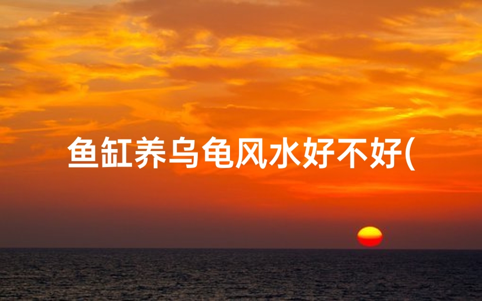 鱼缸养乌龟风水好不好(鱼缸养乌龟风水影响揭秘)