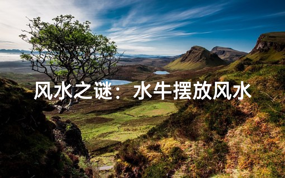 风水之谜:水牛摆放风水禁忌解析
