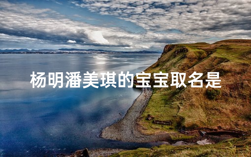 杨明潘美琪的宝宝取名是什么