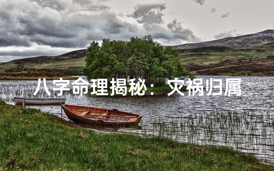 八字命理揭秘:灾祸归属八字详解