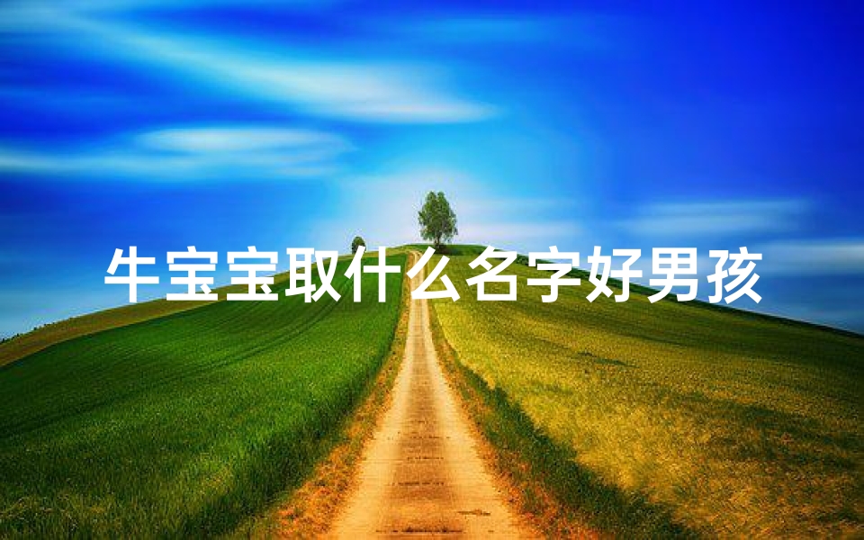 牛宝宝取什么名字好男孩-《牛姓兔宝宝男孩取名大全:创意吉祥好名字推荐》