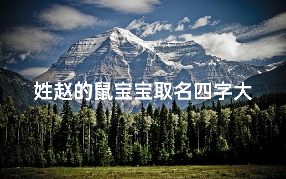 姓赵的鼠宝宝取名四字大全