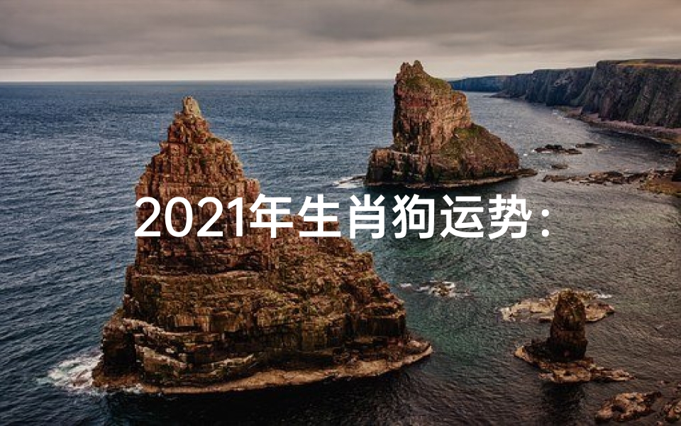 2021年生肖狗运势：旺运亨通，福星高照