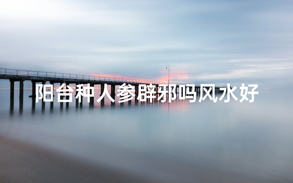 阳台种人参辟邪吗风水好吗、阳台种人参:辟邪风水两相宜