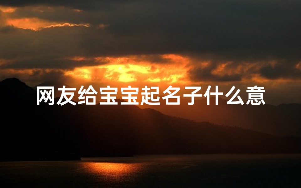 网友给宝宝起名子什么意思(给宝宝起名字起什么名字)