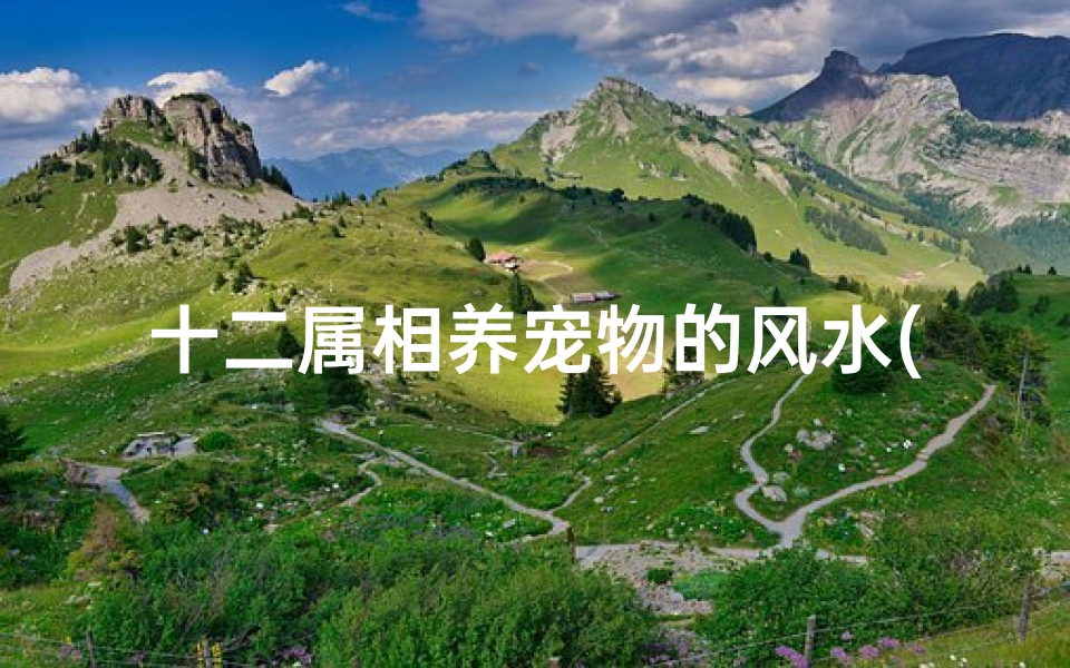 十二属相养宠物的风水(养宠物有何风水讲究 )