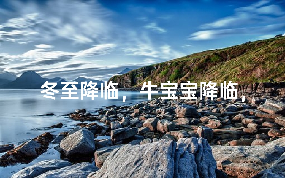 冬至降临,牛宝宝降临,喜得冬阳瑞牛宝名