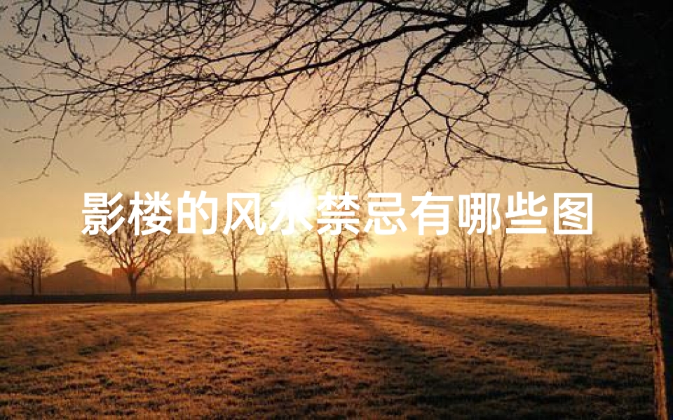 影楼的风水禁忌有哪些图片(结婚照最佳摆放位置)