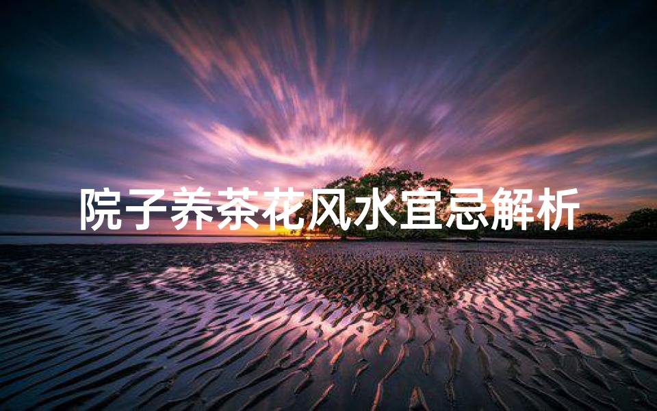 院子养茶花风水宜忌解析
