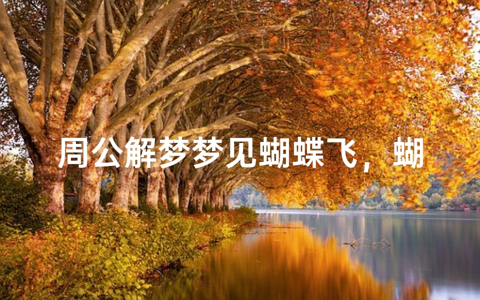 周公解梦梦见蝴蝶飞,蝴蝶飞舞的梦境预示着什么