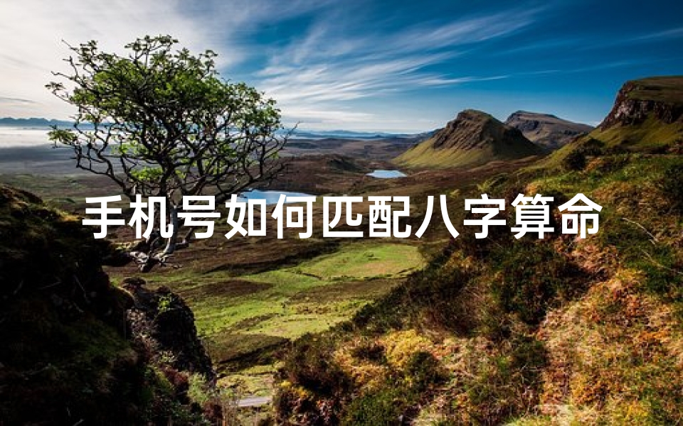 手机号如何匹配八字算命(生辰八字选手机号码免费软件)