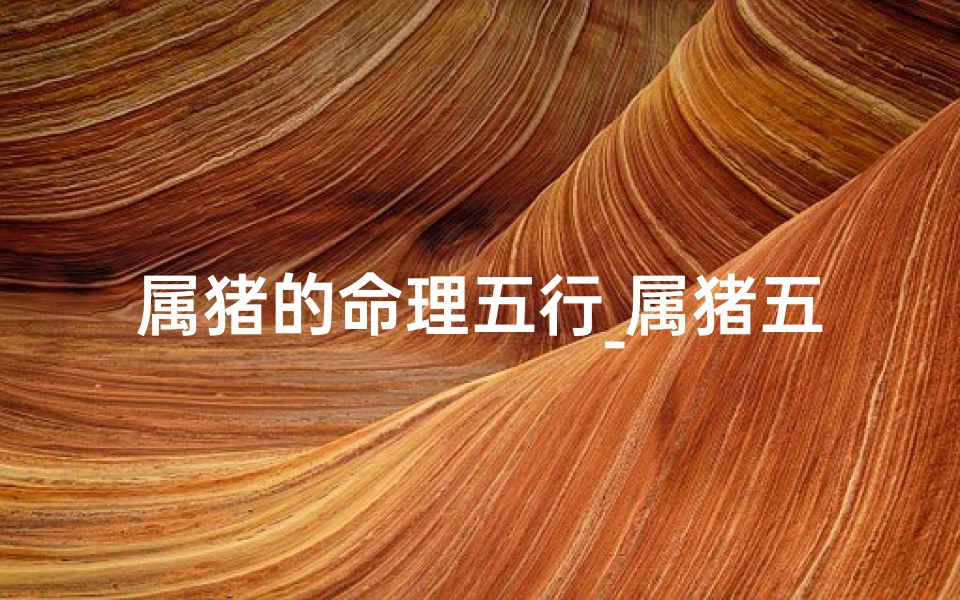 属猪的命理五行_属猪五行八卦吉凶图解:揭秘猪年运势吉凶密码