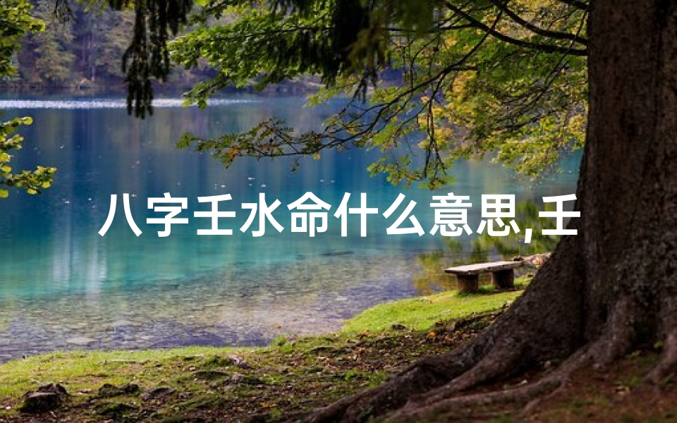 八字壬水命什么意思,壬水命最好的八字