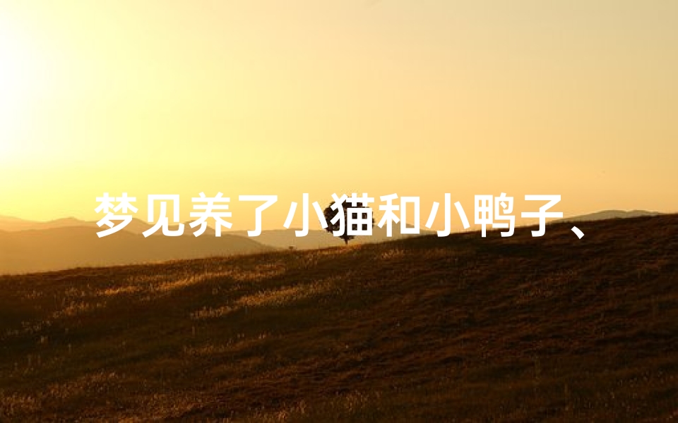梦见养了小猫和小鸭子、梦见养一只小猫崽