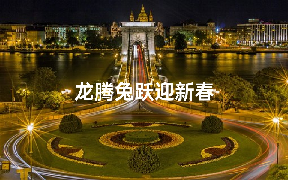 龙腾兔跃迎新春
