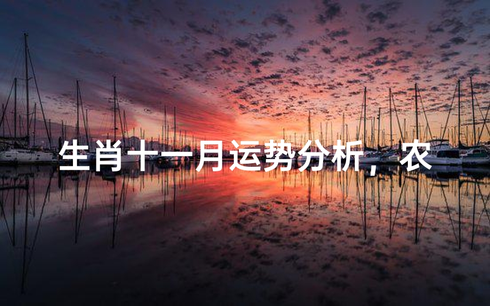生肖十一月运势分析,农历冬月事业财运与情感健康全解析