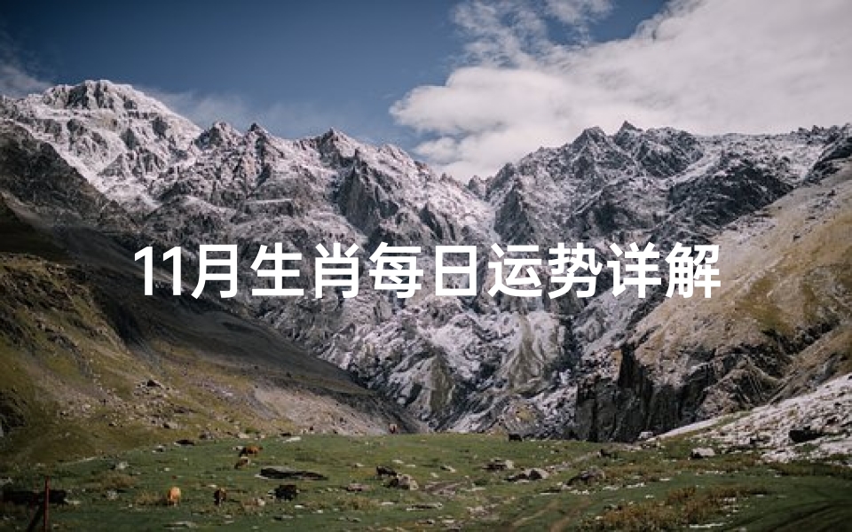 11月生肖每日运势详解(十一月生肖财运势2020)