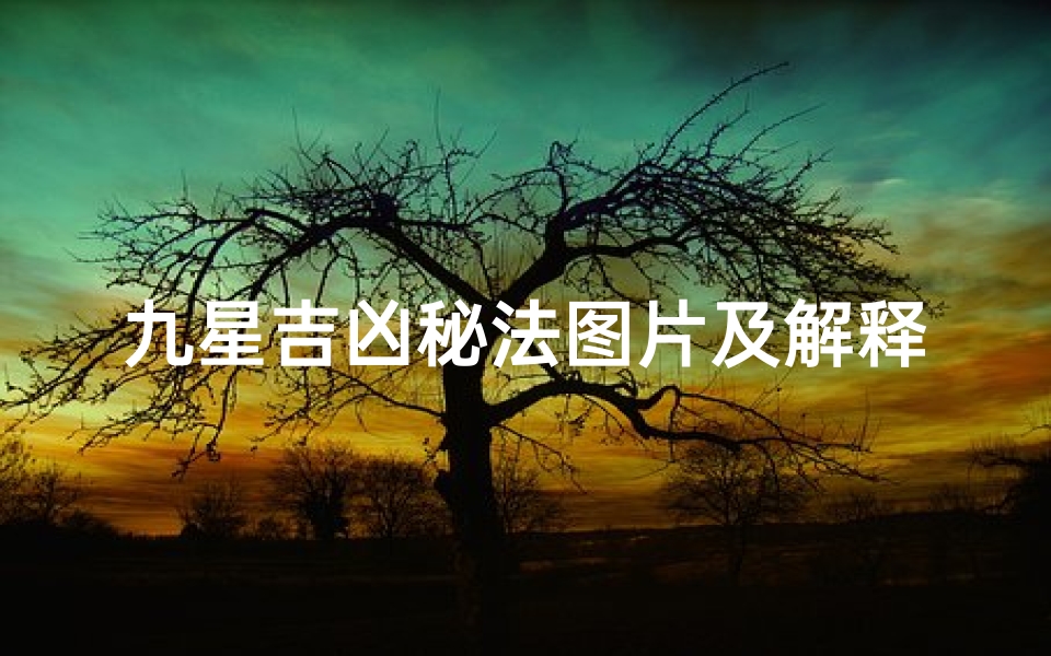 九星吉凶秘法图片及解释—九星吉凶的查法