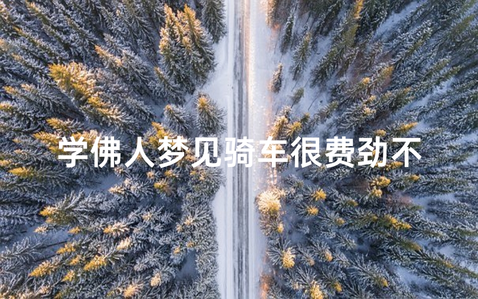 学佛人梦见骑车很费劲不好骑,梦见自己骑车难行