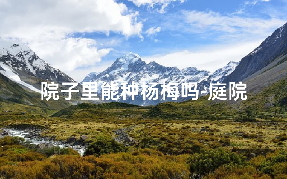院子里能种杨梅吗-庭院风水揭秘:杨梅种植吉凶宜忌