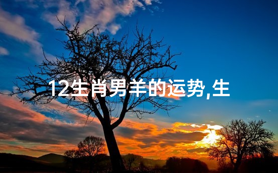 12生肖男羊的运势,生肖羊男的命运