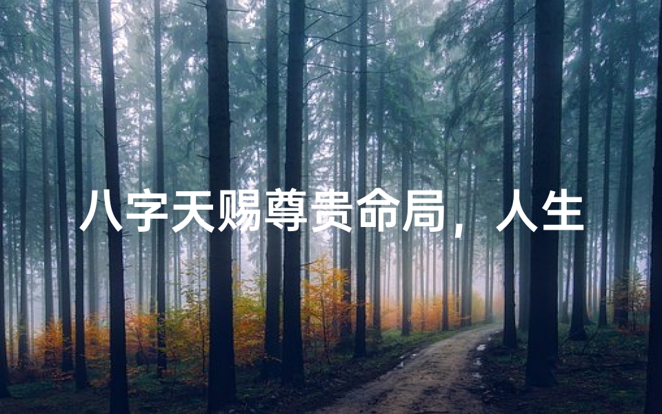 八字天赐尊贵命局,人生辉煌如星辰
