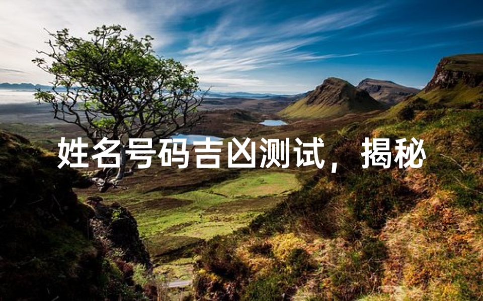 姓名号码吉凶测试,揭秘数字背后的命运密码