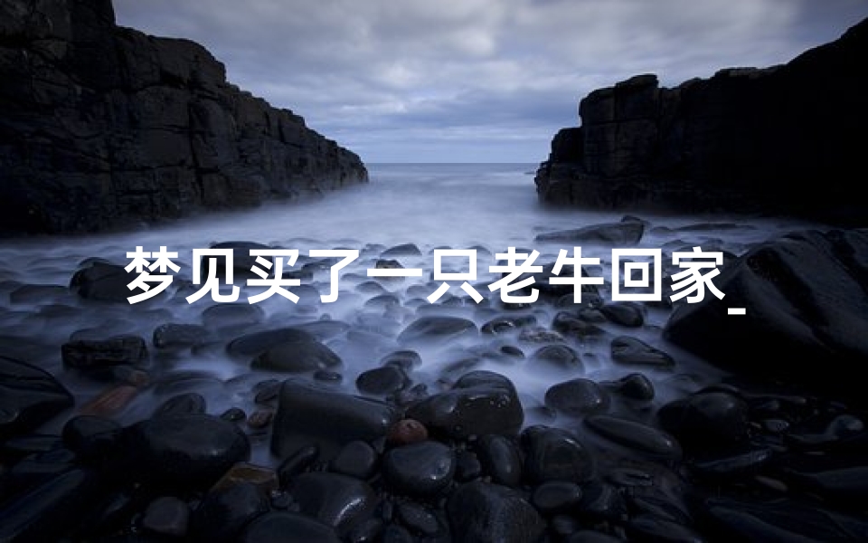 梦见买了一只老牛回家_梦见买回一头牛