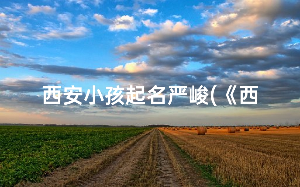 西安小孩起名严峻(《西安萌娃严峻:勇敢追梦的少年风采》)