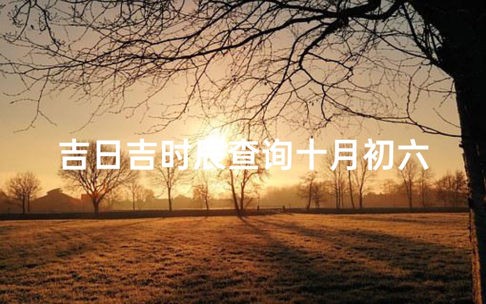 吉日吉时辰查询十月初六(二二年十月份哪天结婚是好日子 )