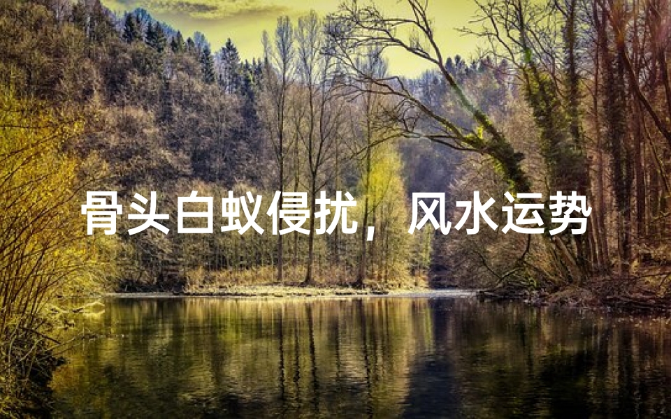 骨头白蚁侵扰,风水运势受影响?