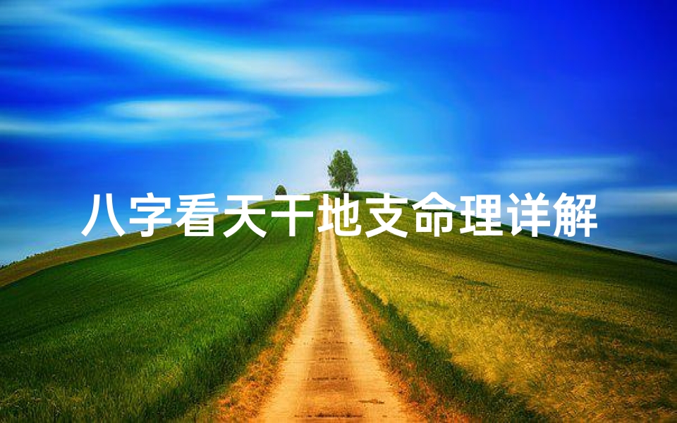 八字看天干地支命理详解(八字天干地支怎么看)