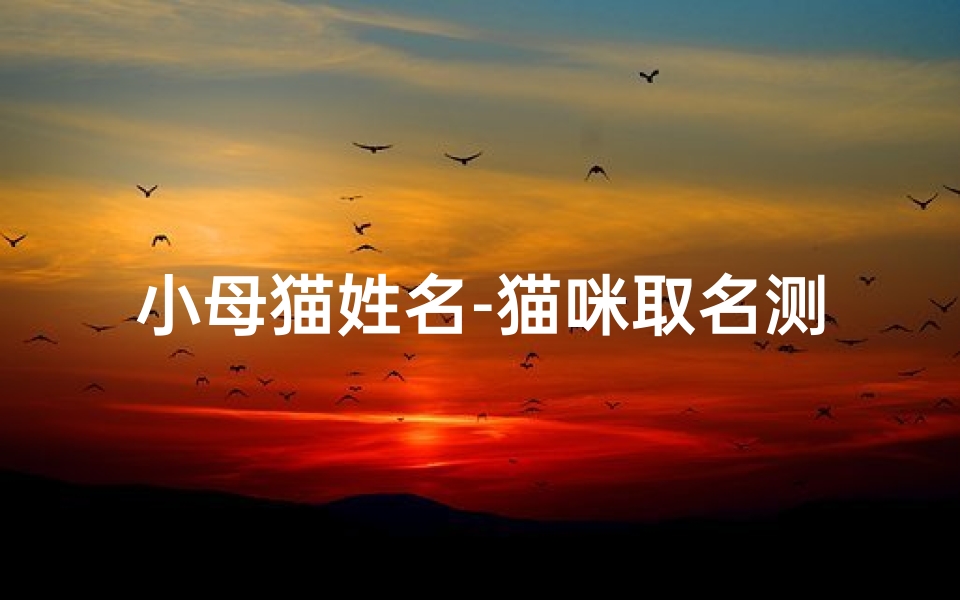 小母猫姓名-猫咪取名测吉凶:揭秘新宠吉祥名字秘籍图解-海瑞算卦网