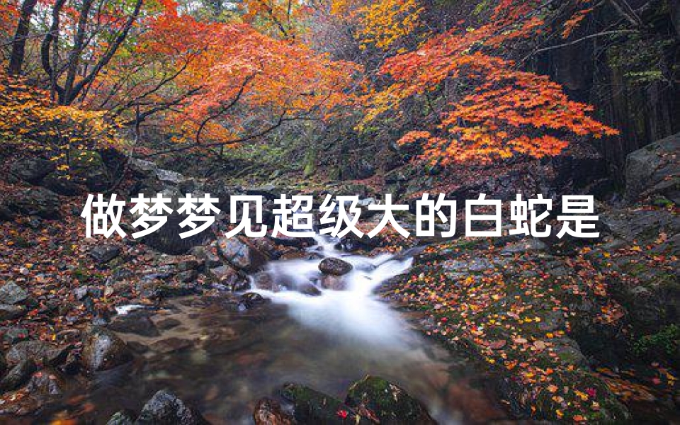 做梦梦见超级大的白蛇是什么预兆、梦见超大的大白蛇