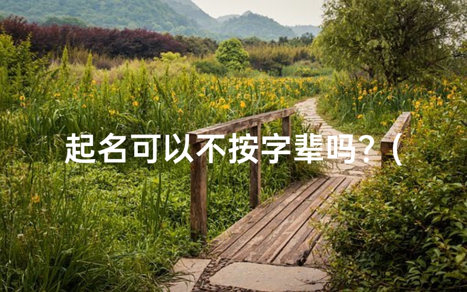 起名可以不按字辈吗?(《不拘辈分,为小孩取名的独特之道》)