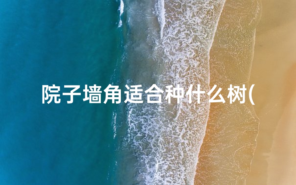 院子墙角适合种什么树(院子墙角种树风水讲究:宜否与吉凶揭秘)