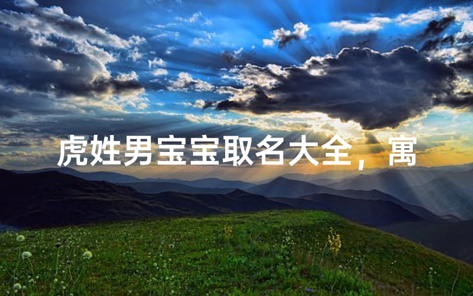 虎姓男宝宝取名大全,寓意吉祥的好名字推荐