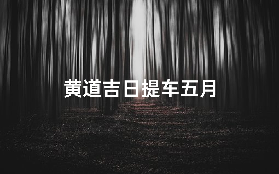 黄道吉日提车五月