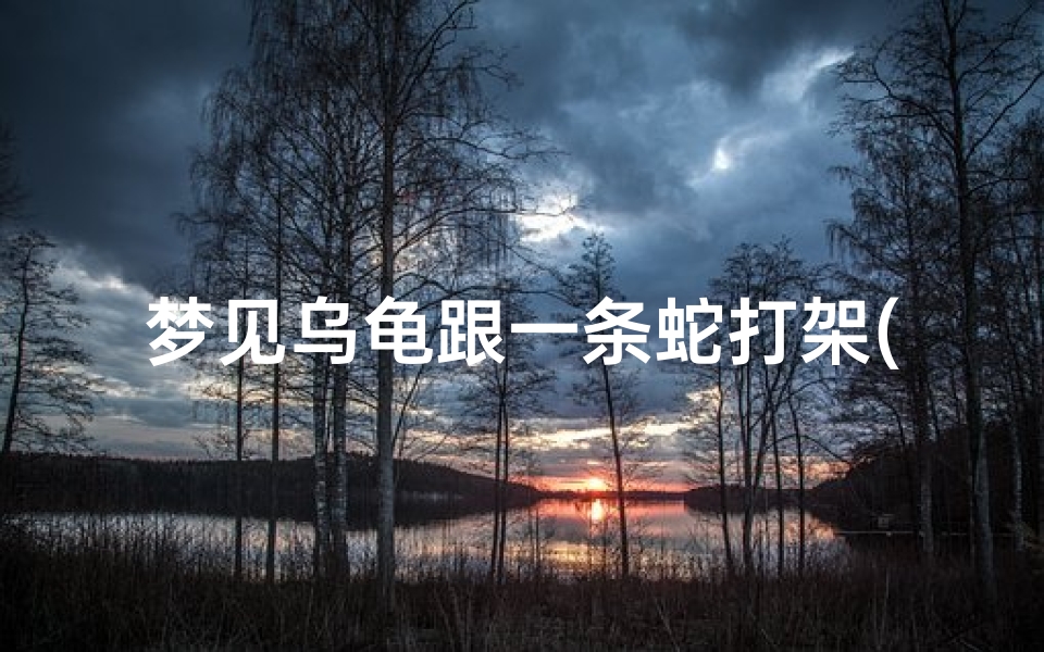 梦见乌龟跟一条蛇打架(梦见乌龟跟一条蛇打架什么意思)