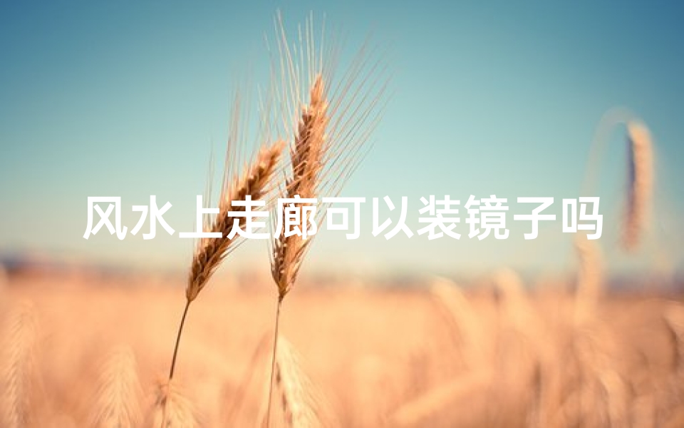 风水上走廊可以装镜子吗(风水疑问:走廊装镜子,吉凶如何辨?)