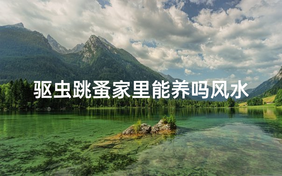 驱虫跳蚤家里能养吗风水
