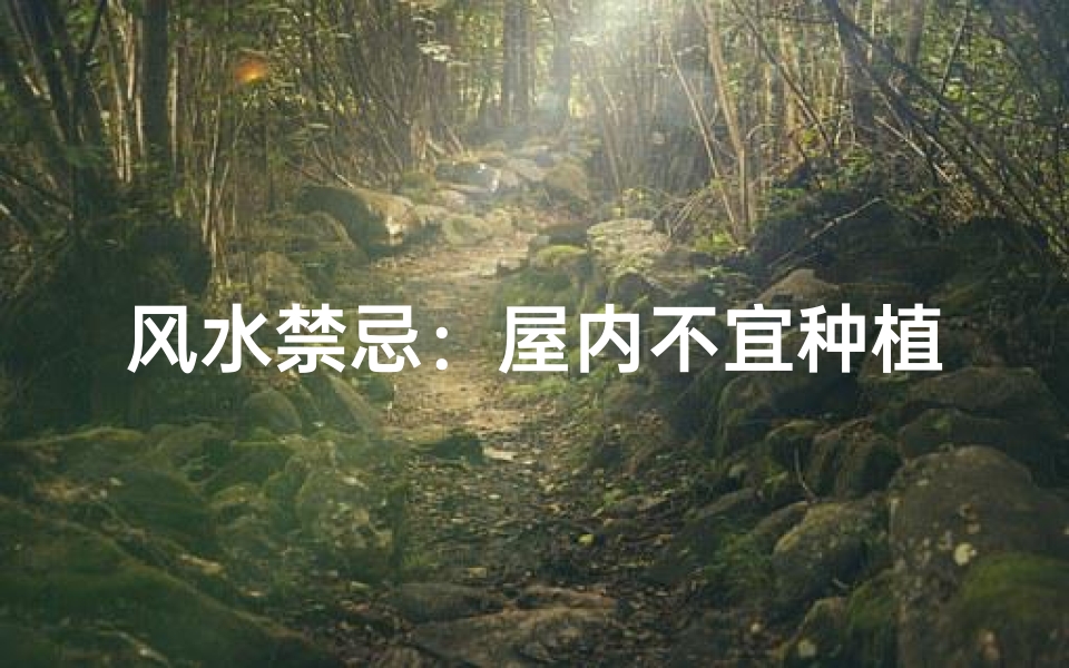 风水禁忌:屋内不宜种植的树木种类揭秘