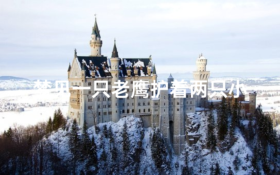 梦见一只老鹰护着两只小鹰-梦见一只小老鹰亲近自己