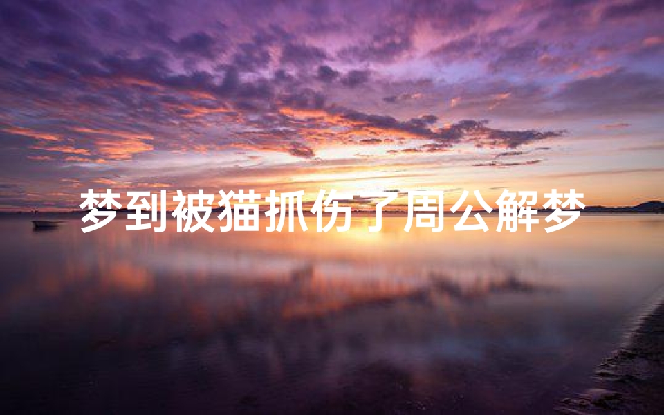 梦到被猫抓伤了周公解梦(孕妇梦见被猫抓伤是啥意思)