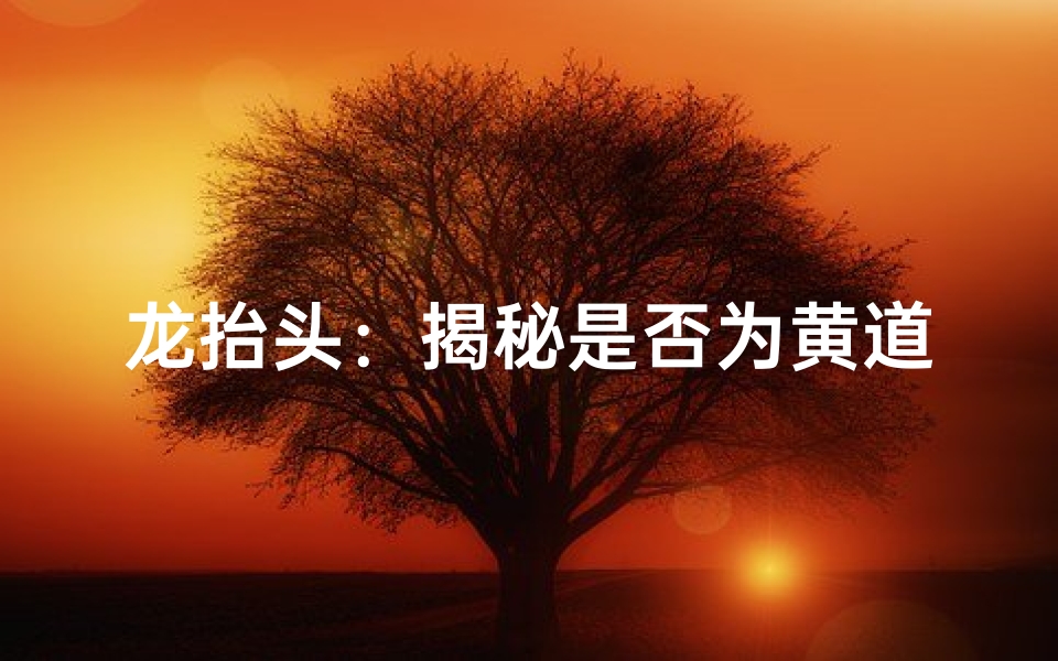 龙抬头:揭秘是否为黄道吉日-海瑞算卦网