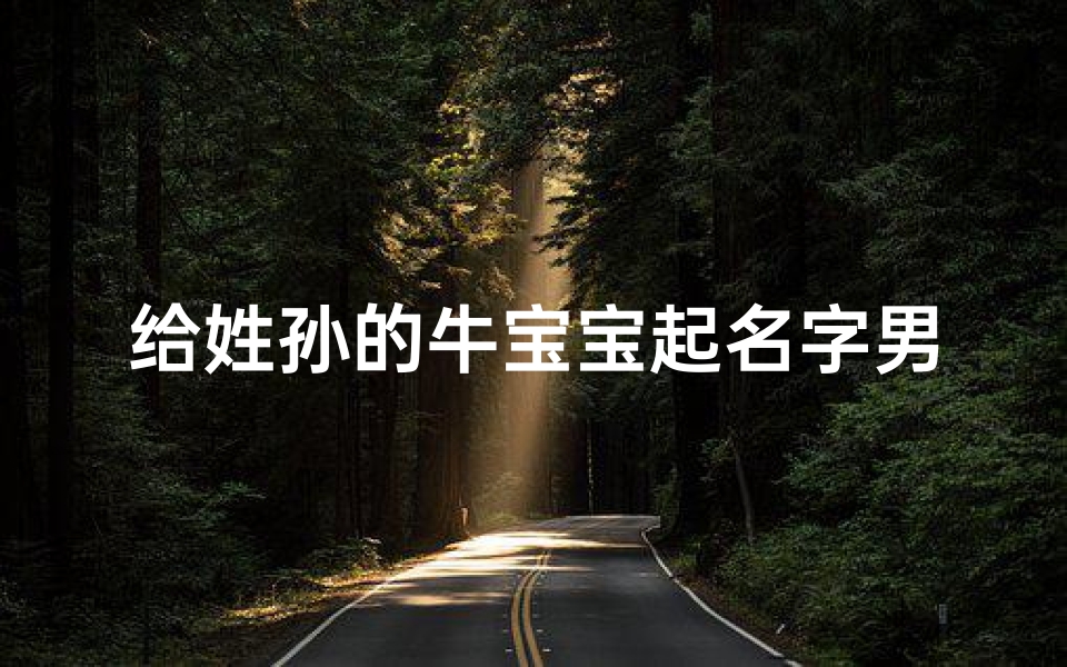 给姓孙的牛宝宝起名字男孩(姓孙的男孩名字)