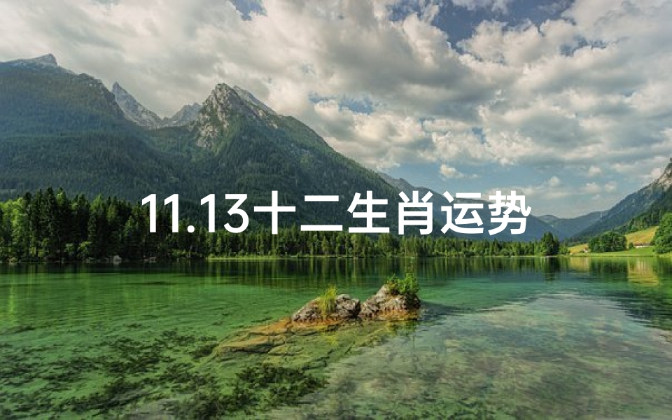 11.13十二生肖运势_十二生肖十一月运势详解