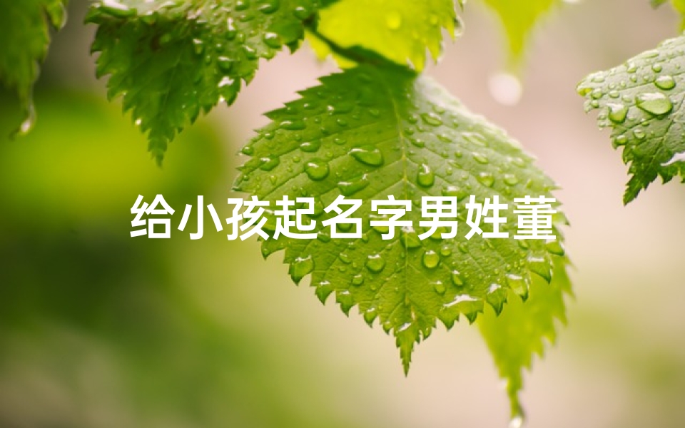 给小孩起名字男姓董