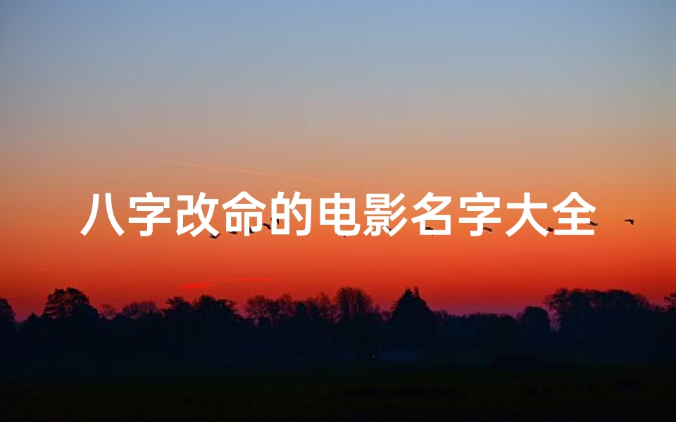 八字改命的电影名字大全—《八字改命:逆转命运传奇之旅》